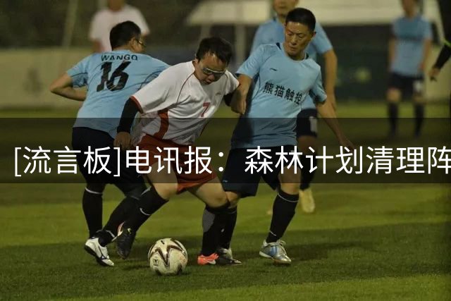 [流言板]电讯报：森林计划清理阵容&再买四人，麦卡蒂预计将会留队